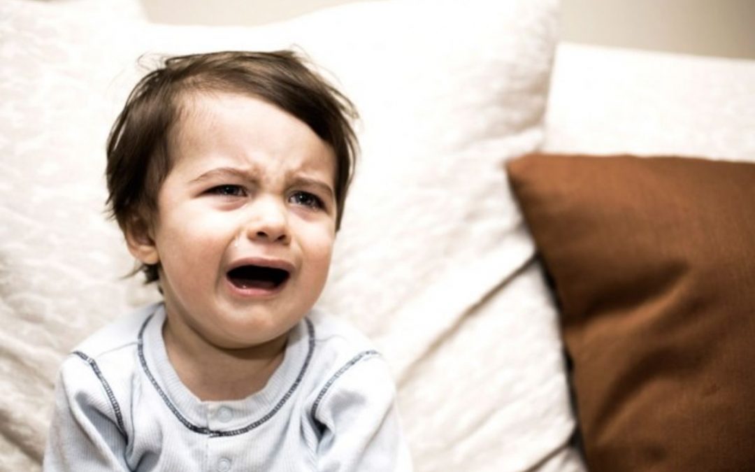 Fed and Market – Taper Tantrum